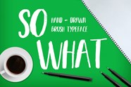 Download SO WHAT BRUSH Font OTF TTF