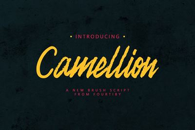 Laden Sie Camellion Brush Font Otf Ttf