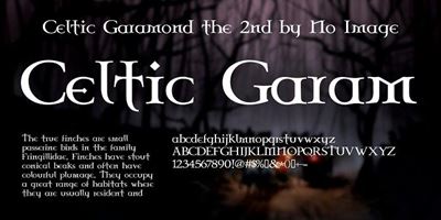 Descargar Celtic Garamond The 2nd Font Otf Ttf