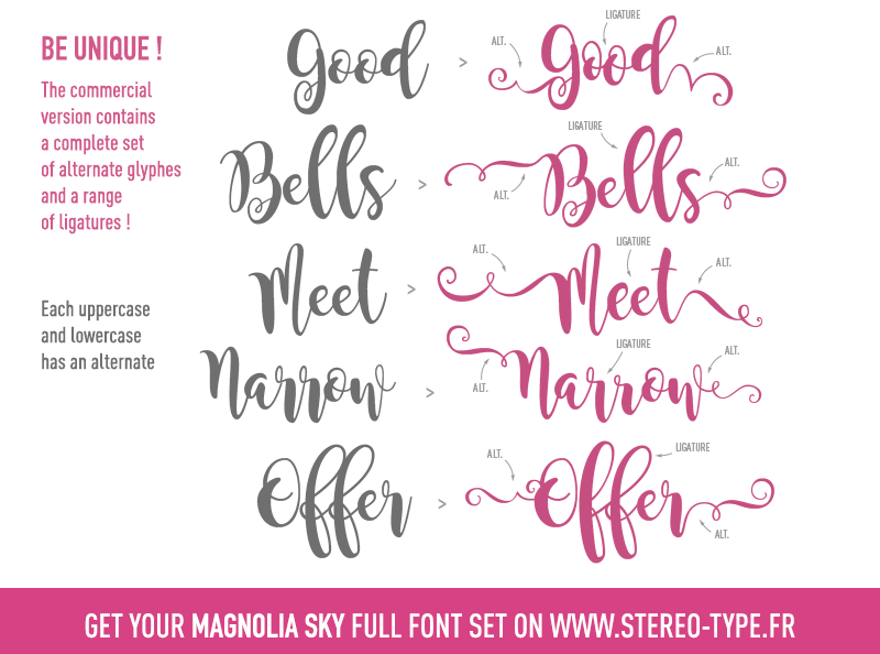 Шрифт Магнолия. Magnolia Sky шрифт. Логотип шрифт Magnolia. Логотип шрифт Magnolia script.