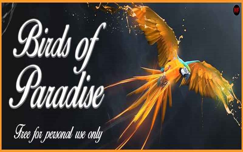 Download Birds of Paradise Download Font OTF, TTF