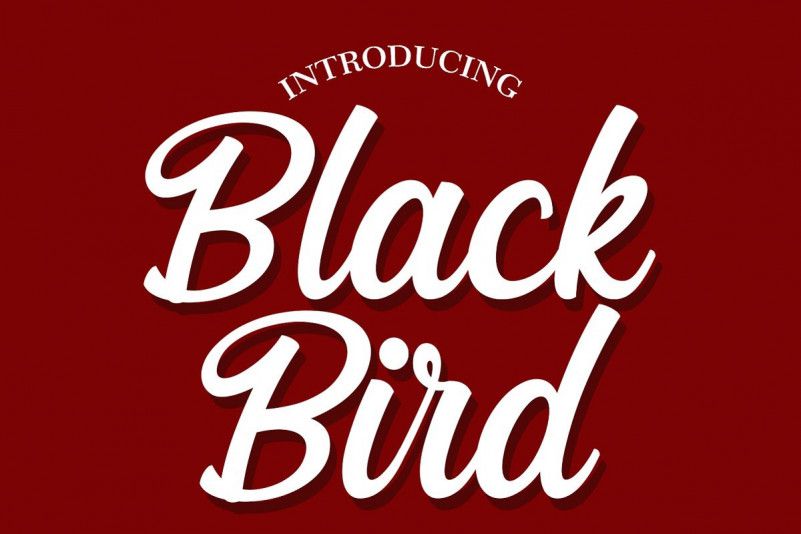 Black Bird Script Font Otf Ttf をダウンロード