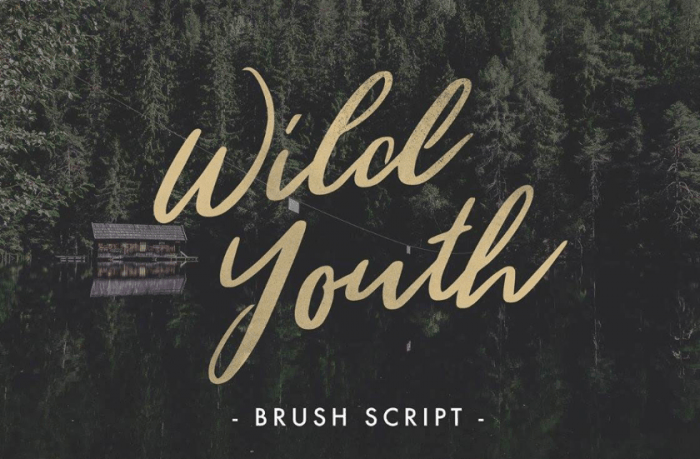 Download Wild Youth Font OTF, TTF